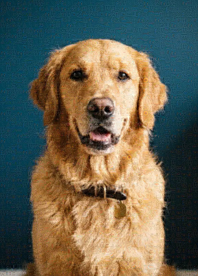 Uitsnede van een fotomozaïek van een golden retriever: van dichtbij is elk vakje een eigen foto